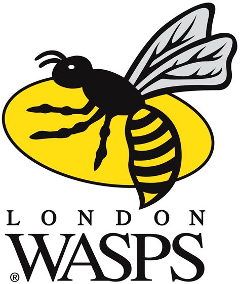 wasps rugby jobs